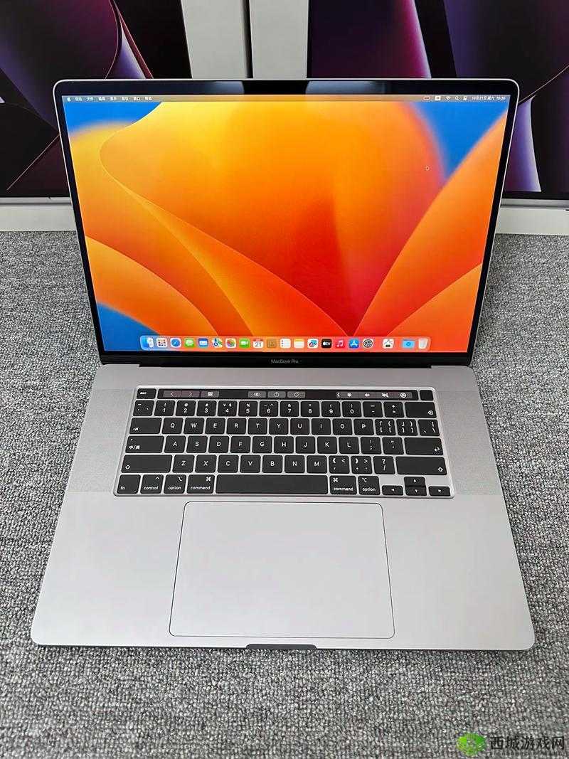 19 岁 MACBOOKPRO 欧美：背后的故事