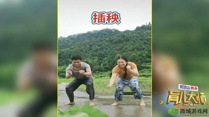 夫妻一百种插秧方法：探寻别样乐趣