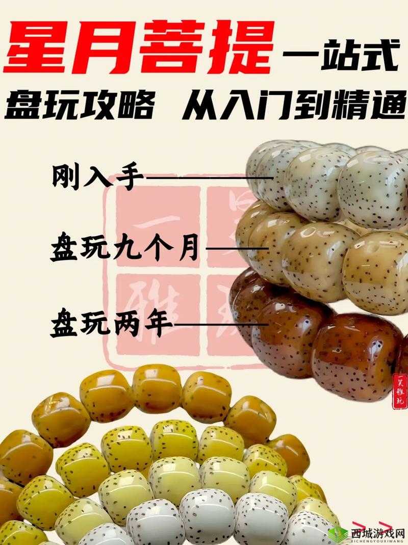腐烂国度新手入门全攻略 从零基础到轻松上手秘籍