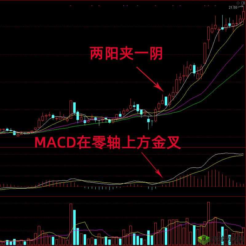 一阴吞两阳具体操作方法