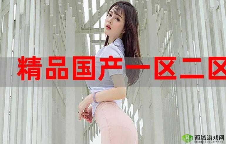 国精产品一区二区三区有限:优质产品引领潮流