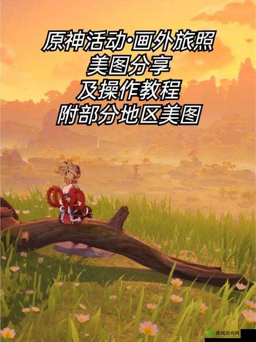 原神:提瓦特大陆的游戏达人