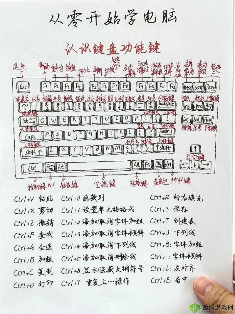 我是面包全面操作指南：键盘与手柄按键的详细操控说明