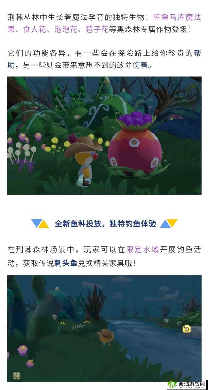 摩尔庄园象鼻鱼高效获得方法及全面资源管理优化策略解析