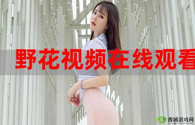野花社区在线观看免费高清 3:畅享精彩影视无需付费
