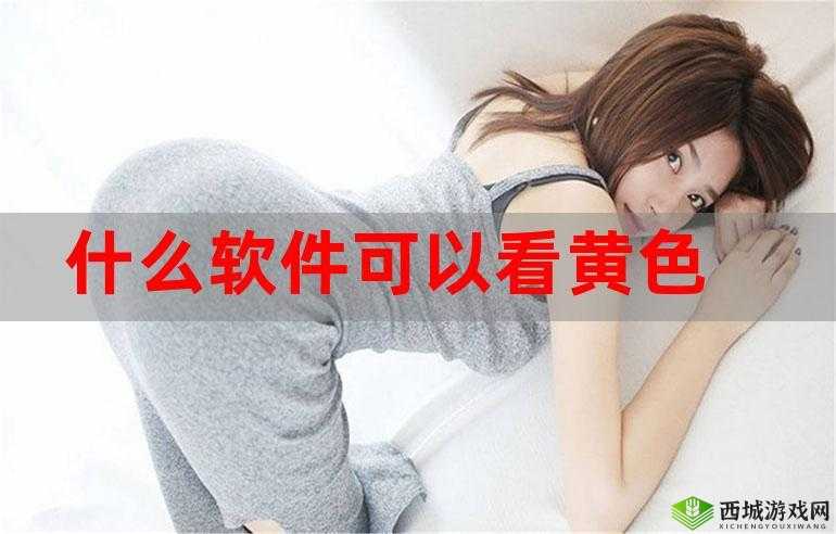 关于黄色 APP 在线观看的相关内容及探讨