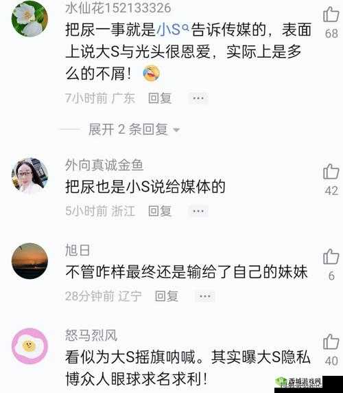 51 爆料网黑料每日新 SV1A96:揭开神秘面纱